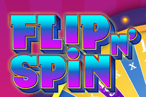 Flip n Spin 93