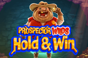 Prospector Wilds Hold and Win 96