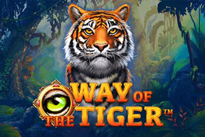 Way Of The Tiger96
