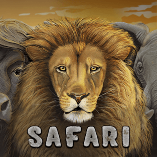 Safari