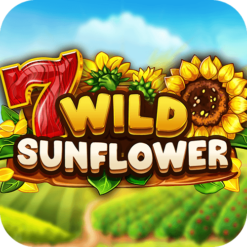 Wild SunFlower
