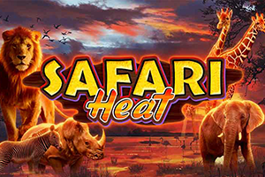 Safari Heat