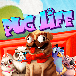 Pug Life 95