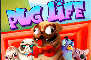 Pug Life 92