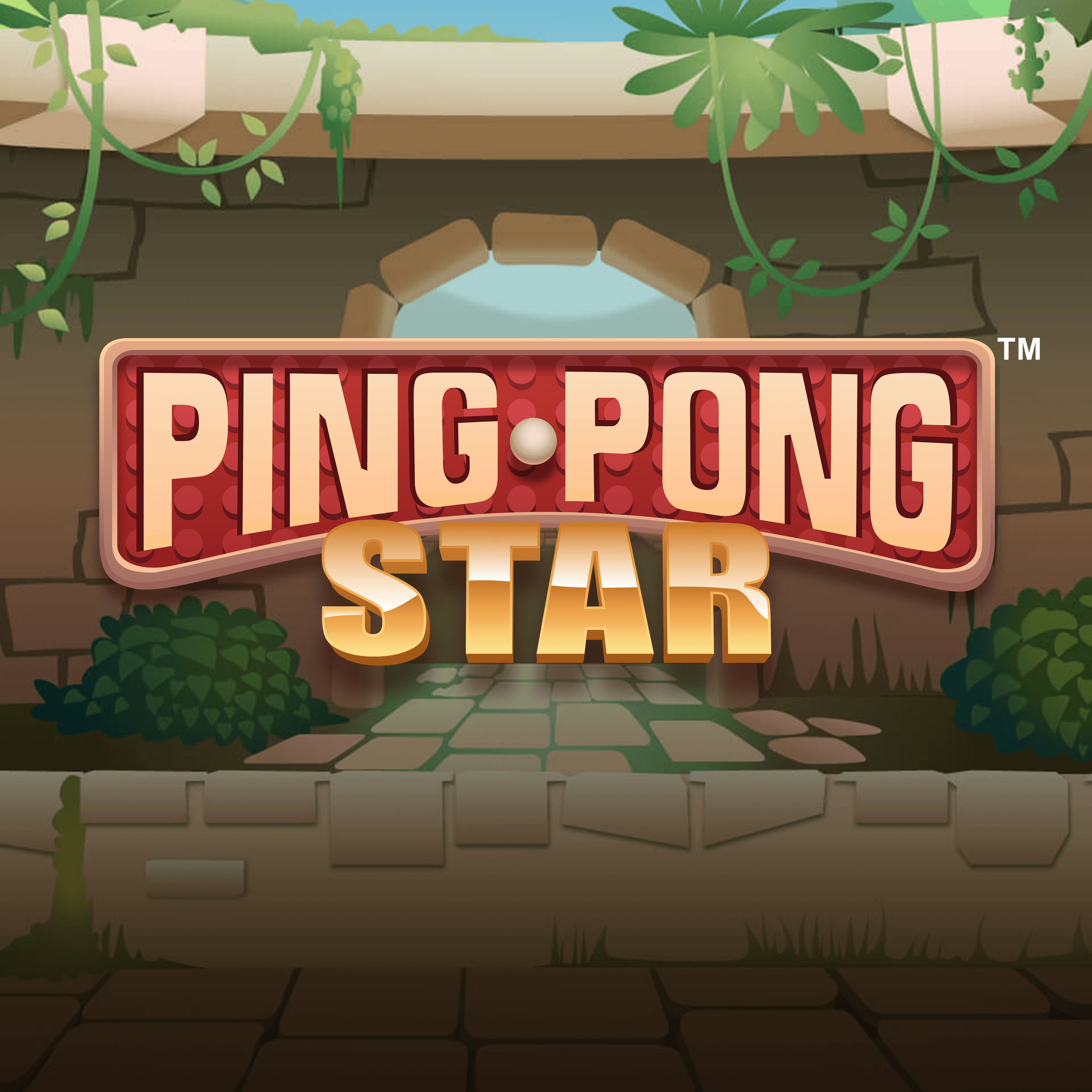 Ping Pong Star