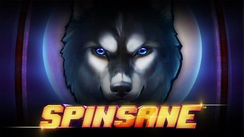 Spinsane