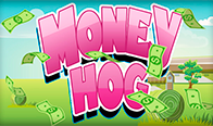 Money Hog  5 Tab  USD