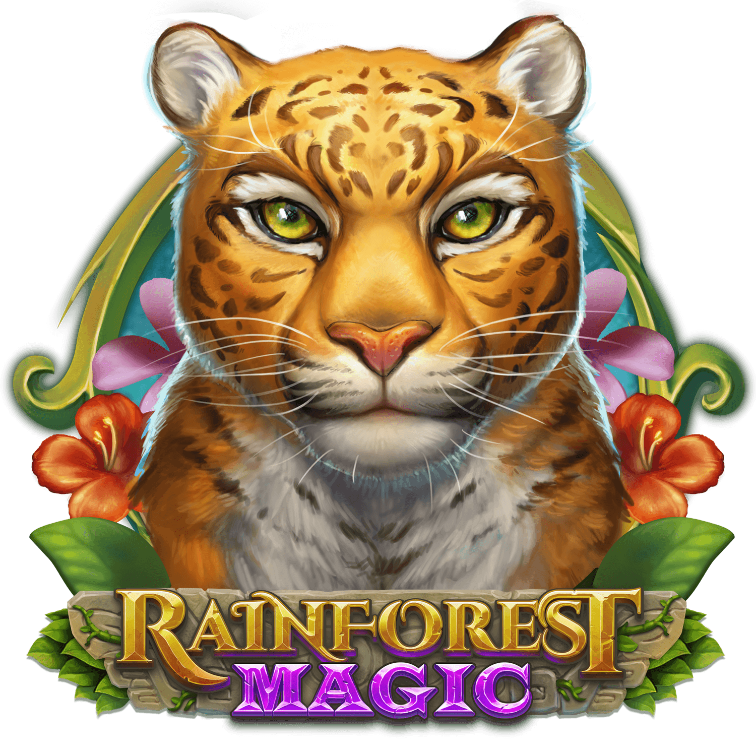 Rainforest Magic