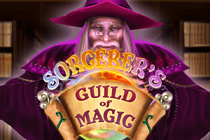 Sorcerers Guild of Magic
