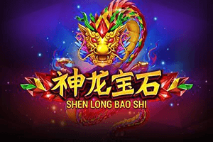 Shen Long Bao Shi