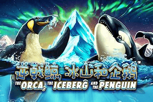 The Orca the Iceberg and the Penguin
