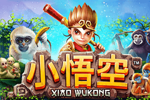 Xiao Wu Kong