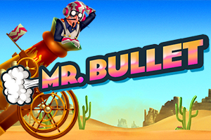 Mr Bullet