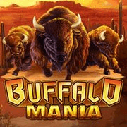 Buffalo Mania